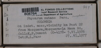 Image Associated With the Occurence